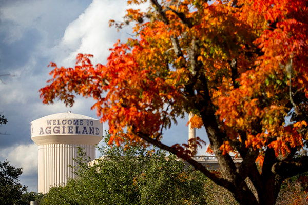 The campus water tower.